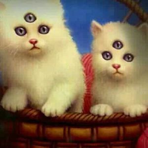 Meet your Posher, Heidi